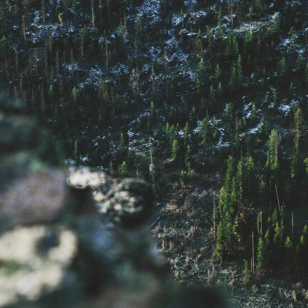 Богородица со Христос